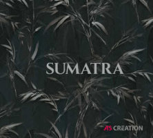 Sumatra | 2022