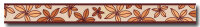 Borte Rapido 2010 SK 10 Meter