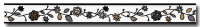 Borte Rapido 2010 SK 10 Meter
