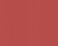 Vliestapeten colour courage Contzen rubinrot