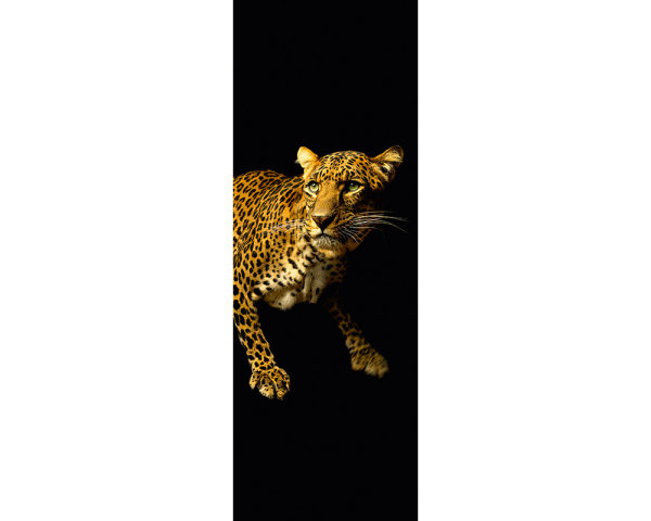AP Panel Leopard 2,80 m  x 1,00 m Material 150 g Vlies Basic