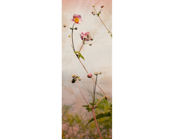 AP Panel Romance 2,80 m  x 1,00 m Material