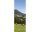 AP Panel Idyllic 2,80 m  x 1,00 m Material Struktur Vlies Plus