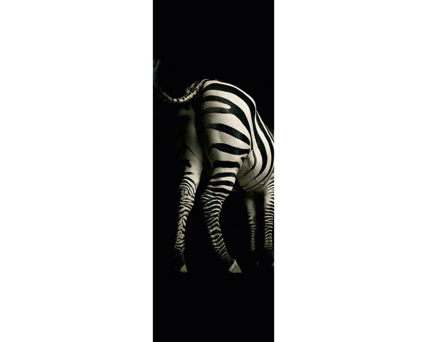 AP Panel Zebra 2,80 m  x 1,00 m Material Mika