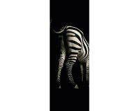 AP Panel Zebra 2,80 m  x 1,00 m Material 130 g Glattvlies...