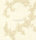 Desideria klassisch Landhaus Italien Blumen Ornament