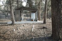 Tapete Kollektion Esprit Äste Wald