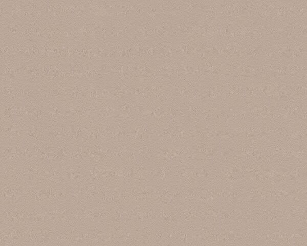 Meistervlies (Die Glatte Wand)  Vlies Unis beige braun