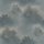 SL18155 Selena Vliestapeten Deco Print Wald Baum