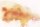 Fototapete | 4,00 m x 2,70 m | 150 g Vlies Basic | WaterColorOran