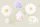 Fototapete | 4,00 m x 2,70 m | 200 g Vlies Premium | Flowers