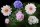 Fototapete | 4,00 m x 2,70 m | Strukturvlies Plus | Flowers