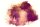 Fototapete | 4,00 m x 2,70 m | 130 g Glattvlies (matt) | WaterColorRe