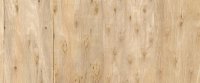 Fototapete | 6,00 m x 2,50 m | 150 g Vlies Basic | Wood