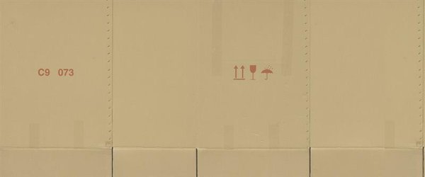 Fototapete | 6,00 m x 2,50 m | 150 g Vlies Basic | Karton