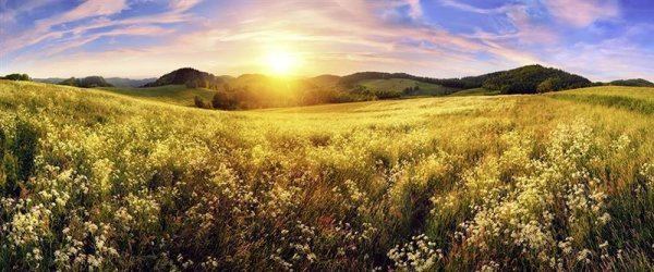 Fototapete | 6,00 m x 2,50 m | 200 g Vlies Premium | ColourfulSuns