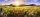 Fototapete | 6,00 m x 2,50 m | 200 g Vlies Premium | ColourfulSuns