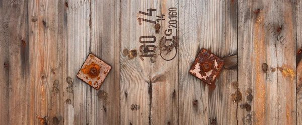 Fototapete | 6,00 m x 2,50 m | Strukturvlies Plus | Wood