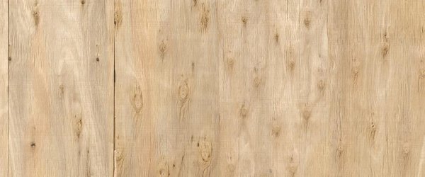 Fototapete | 6,00 m x 2,50 m | 130 g Glattvlies (matt) | Wood