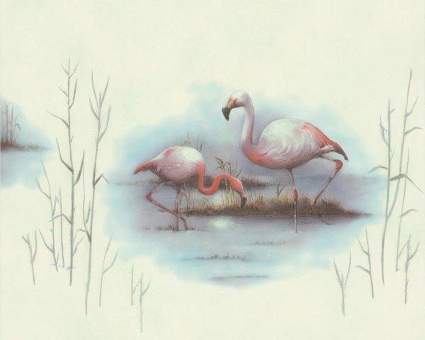 Tapete Flamingo Vogel Kínderzimmer