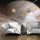 Fototapete  Kleiner und grosser Planet 200x154 cm