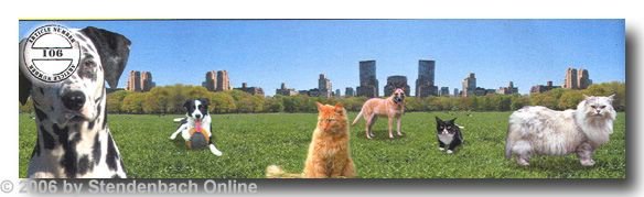 Bord&uuml;re selbstklebend Digitaldruck Hunde Katzen