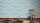 Livingwalls Vliestapete Revival Tapete grafisch blau