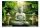 200x140 cm Fototapete Buddhas Garten
