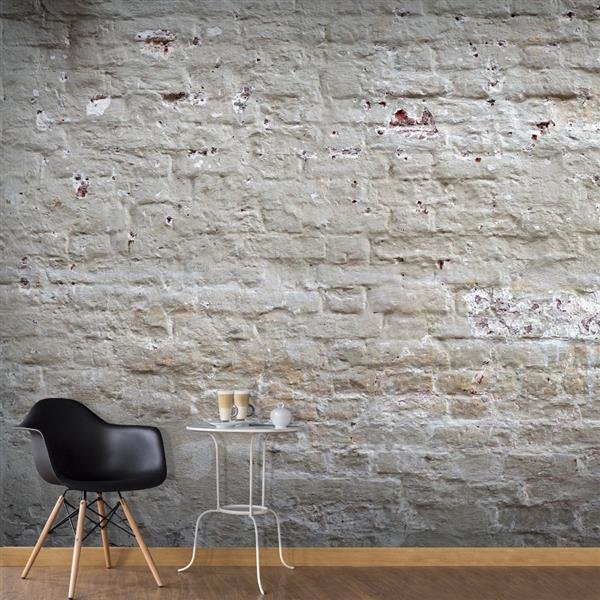 500x280 cm XXL Tapete  Hidden Harmony II