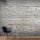 500x280 cm XXL Tapete  Hidden Harmony II