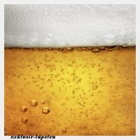 XXL wallpaper Beer 5 x 3,33 Meter (150g Vlies)