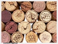 XXL wallpaper Cork 5 x 3,33 Meter (150g Vlies)