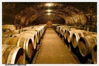 XXL wallpaper Cellar 5 x 3,33 Meter (150g Vlies)