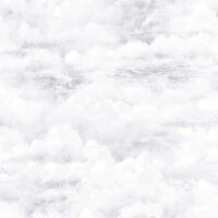 Global Fusion - Tapete Wolken