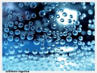 M wallpaper  Dew Drop 1,33 x 2 Meter (150g Vlies)