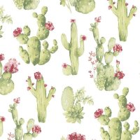 Kitchen Style Tapete Kaktus