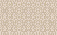 Secret Tapeten Geometric Silk