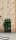 Secret Wandbild Tropical green