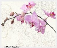 M wallpaper Orchis 1,33 x 2 Meter (150g Vlies)