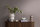 Tapete Pure Elegance