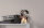 Livingwalls Tapete Kollektion Hygge
