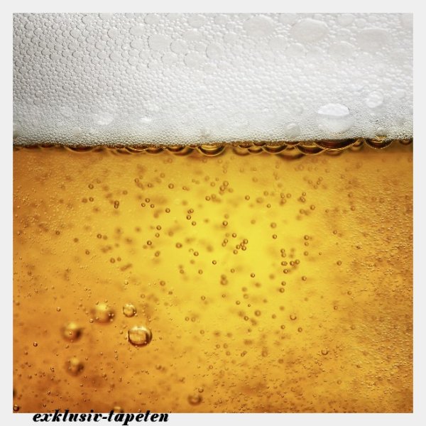 L wallpaper Beer 3 x 2,5 Meter (150g Vlies)