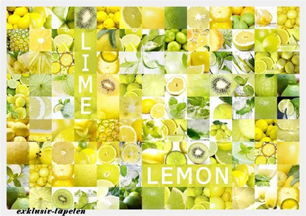 L wallpaper Lemon 3 x 2,5 Meter (150g Vlies)