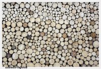 XL wallpaper Stock of Wood  4 x 2,67 Meter (150g Vlies)