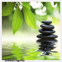 XL wallpaper Spa  4 x 2,67 Meter (150g Vlies)