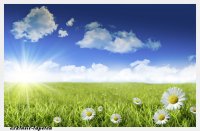 XL wallpaper Grassland 4 x 2,67 Meter (150g Vlies)