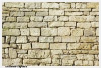 XL wallpaper Wall 4 x 2,67 Meter (150g Vlies)