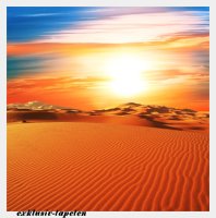 XL wallpaper Dune 4 x 2,67 Meter (150g Vlies)