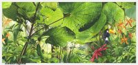 XL wallpaper Jungle 4 x 2,67 Meter (150g Vlies)