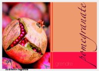 XL wallpaper Pomegranate 4 x 2,67 Meter (150g Vlies)